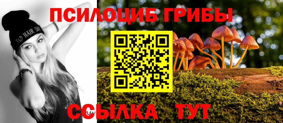 Псилоцибиновые грибы прущие грибы Искитим