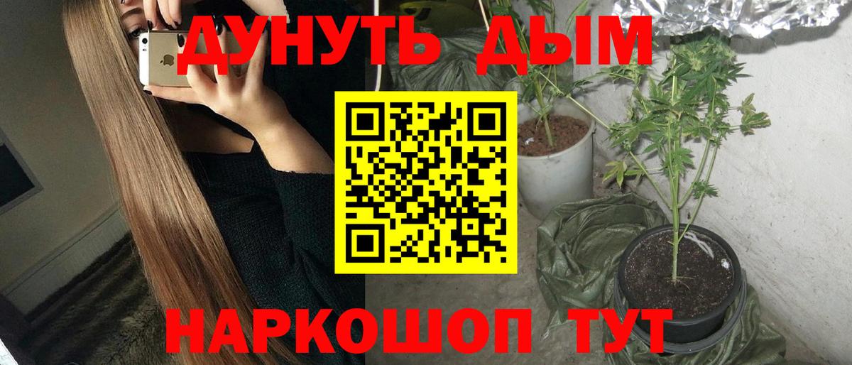 Конопля SATIVA & INDICA  Каннабис индика  Искитим  Вход с VPN 